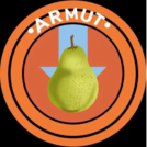 ARMUT CİTY